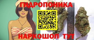 амф Ленинск-Кузнецкий