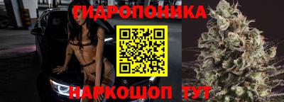 сатива Майкоп