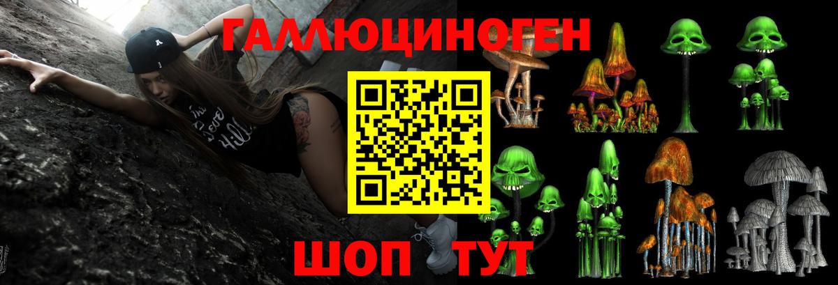Камышин  Псилоцибиновые грибы ЛСД  Вход с VPN 